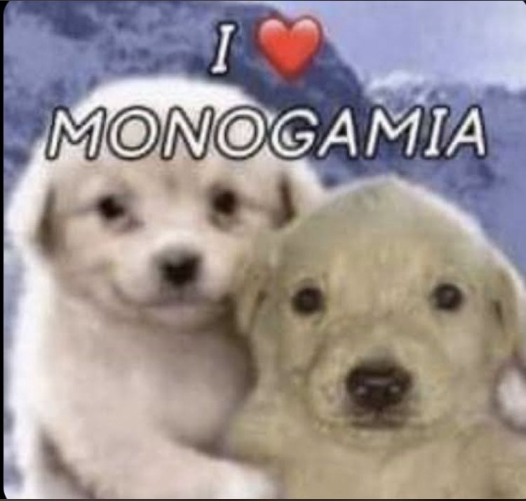 Dromanticism's tweet photo. amo minha mulher ela é perfeita magnifica divonica babilonica https://t.co/QAt5YPoaWZ