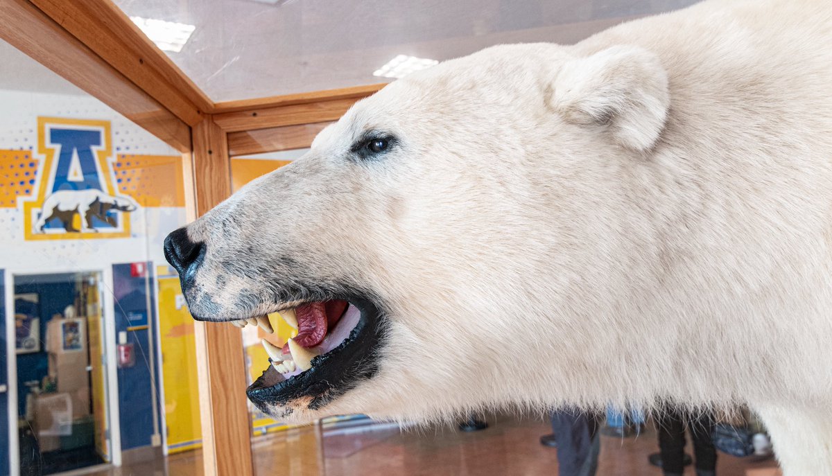 Stadium51 tweet media