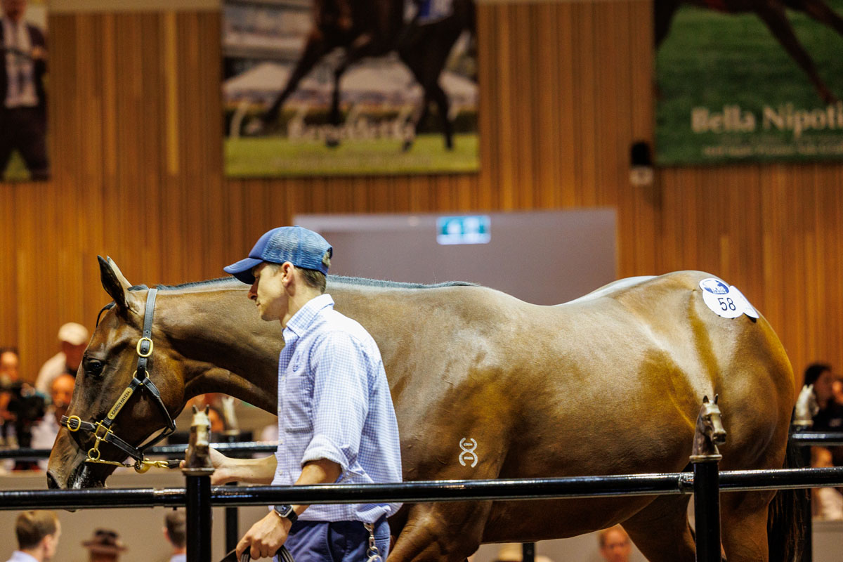 Cannon Hayes Stud tweet media