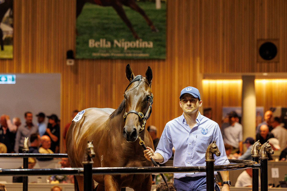 Cannon Hayes Stud tweet media