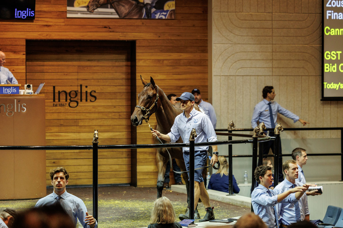 Cannon Hayes Stud tweet media