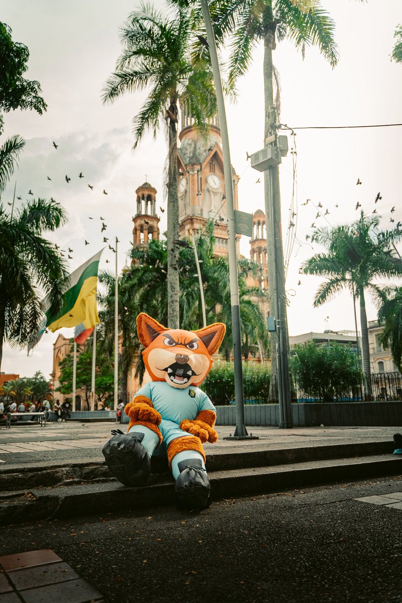 𝐋𝐨𝐬 𝐝𝐢𝐚𝐬 𝐝𝐞 𝐩𝐚𝐫𝐭𝐢𝐝𝐨 𝐭𝐢𝐞𝐧𝐞𝐧 𝐬𝐮 𝐦𝐚𝐠𝐢𝐚 🪄🦊

<a href="/internaciopalmi/">Internacional F.C. de Palmira</a> 🩵