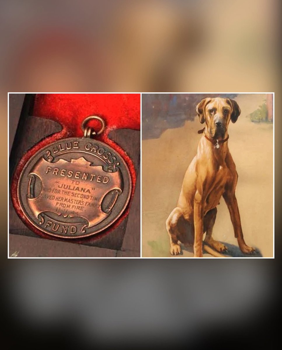 The Archive Vault tweet media