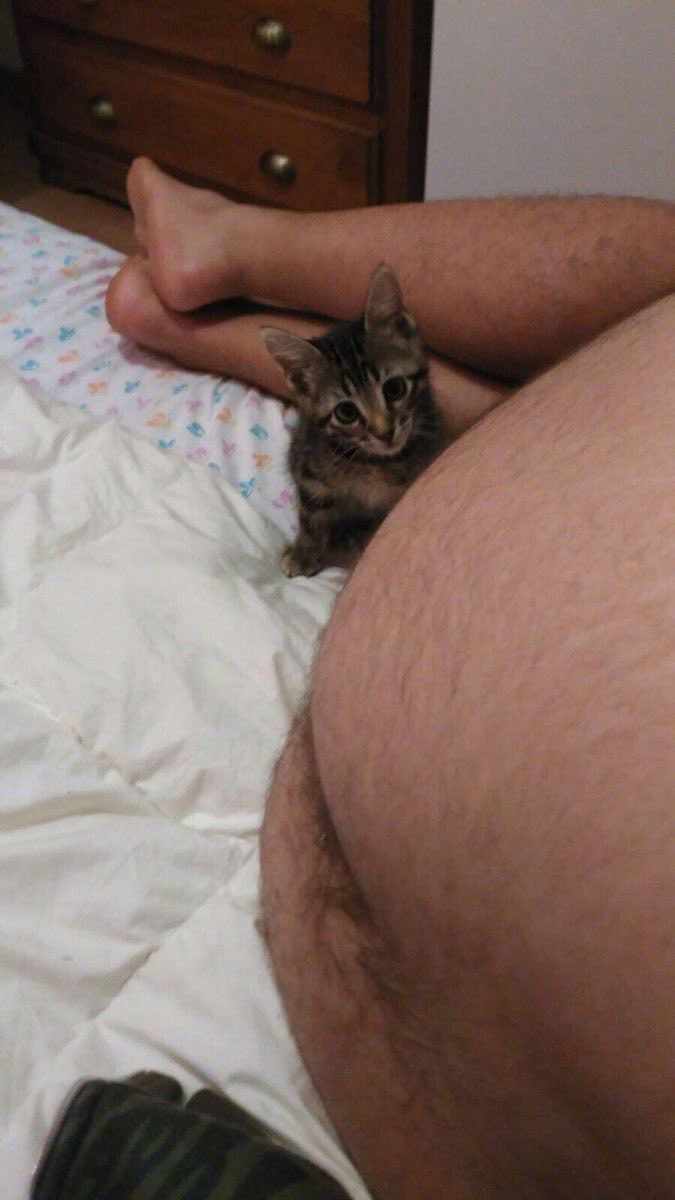 esckla's tweet photo. Acá con el michi con miedo de la tercera guerra mundial le dije que no va a pasar nada https://t.co/YIWGJHIiAn