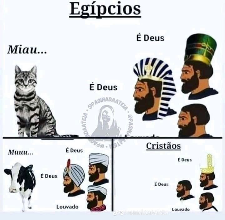 djinn/acc tweet media