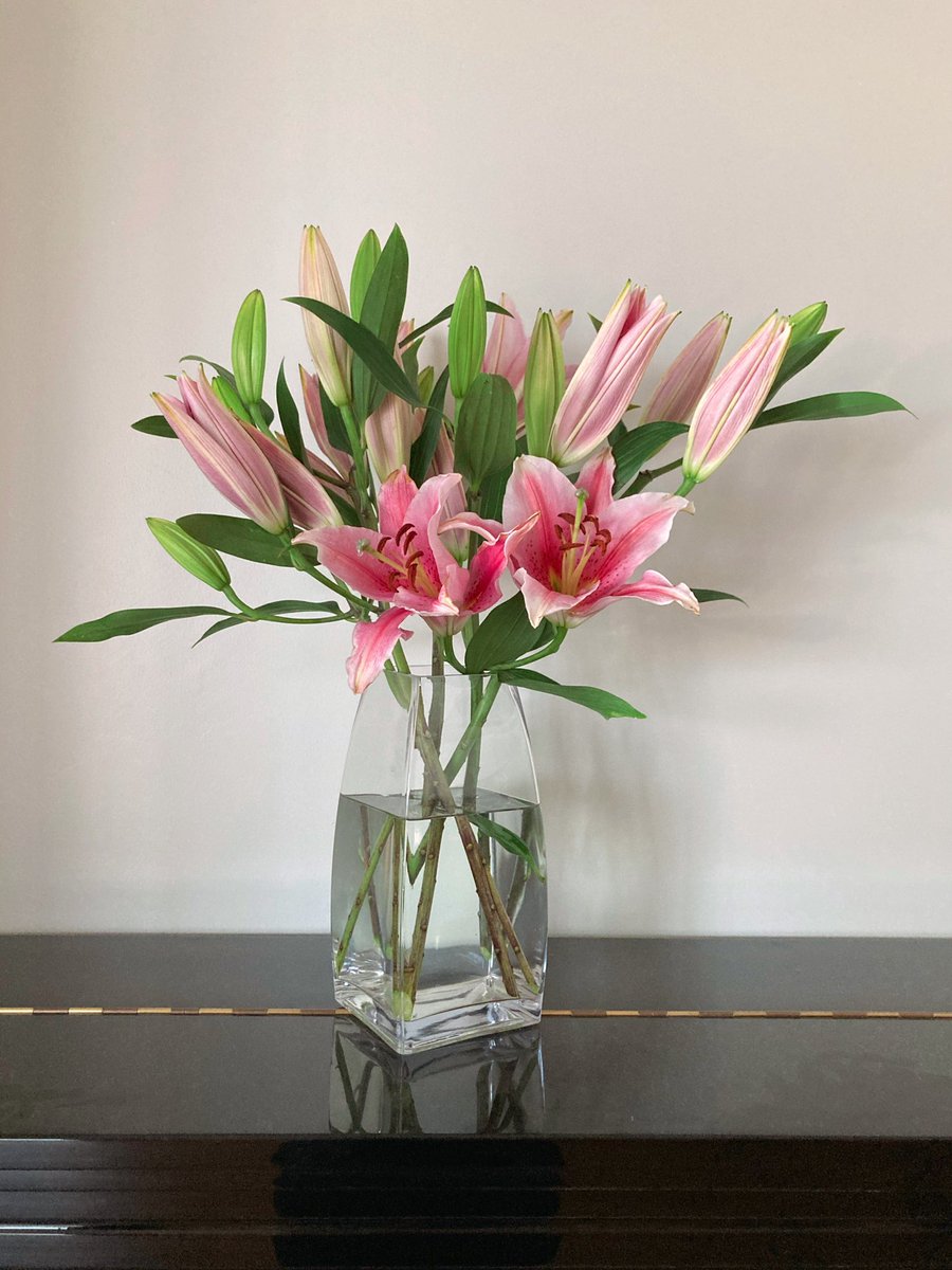 Plah_Chayanan's tweet image. Something beautiful is always ready to bloom.

#HelloMarch