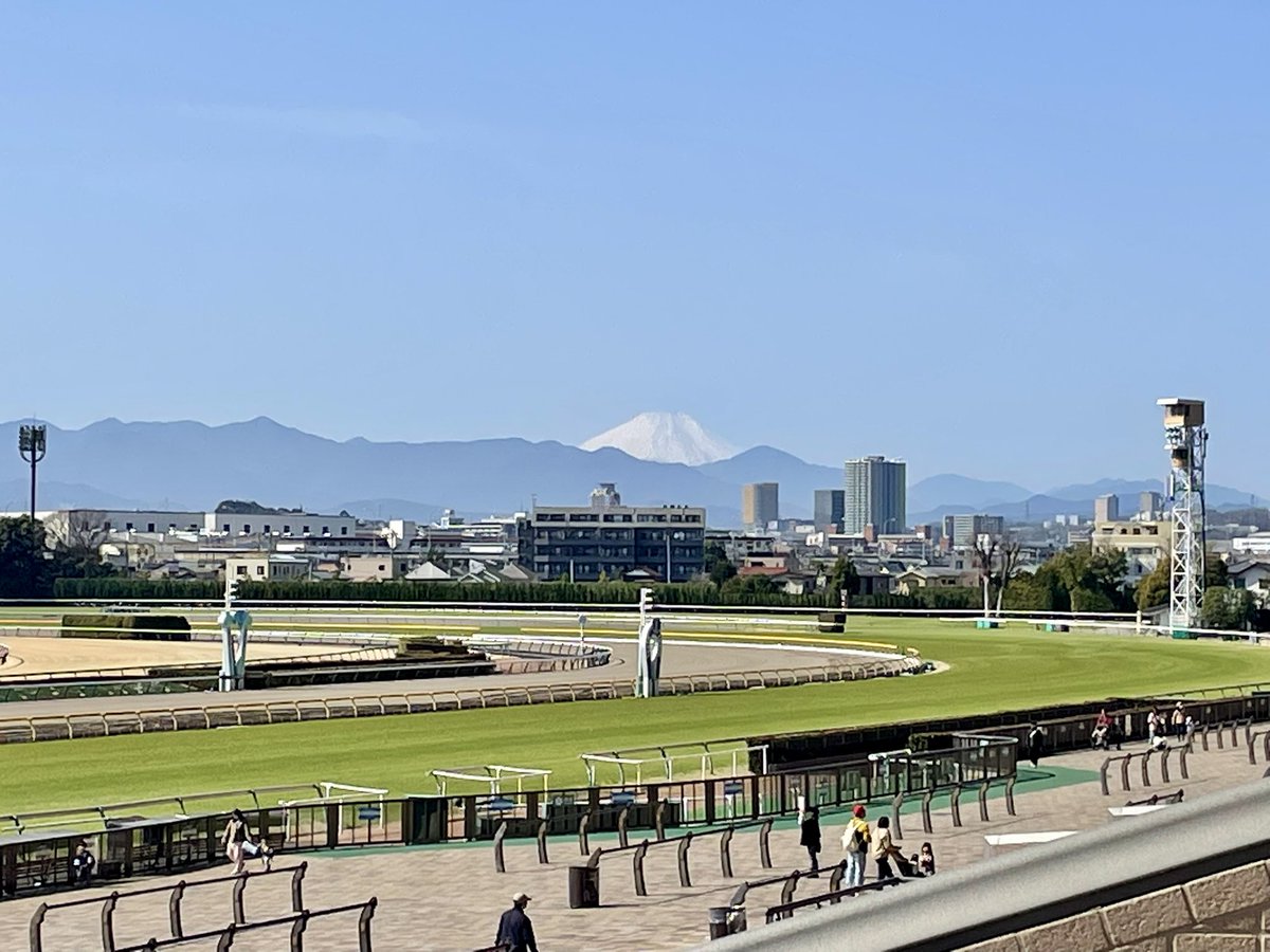 鈴木良（オルタードシステム/brightone marco polo） tweet media