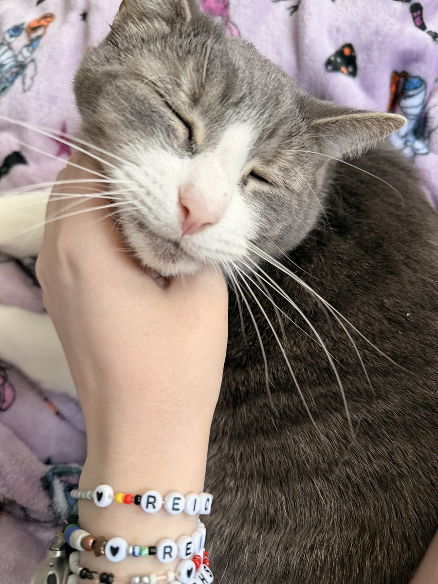 jadeayparade's tweet photo. #notsober at the local mexican restaurant and i miss my cat like look at this little fatass that’s my BABY https://t.co/HX9igfhoB3