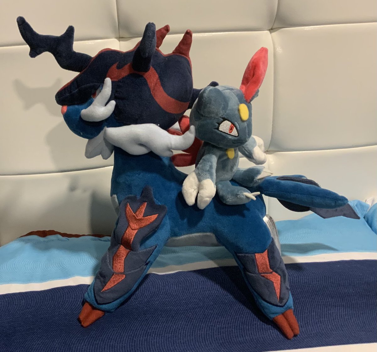 Zee 🐟 tweet media