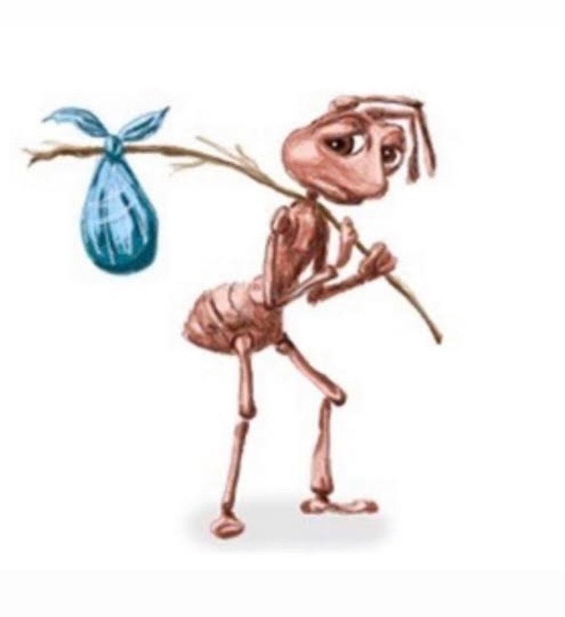 zoë rose bryant tweet media