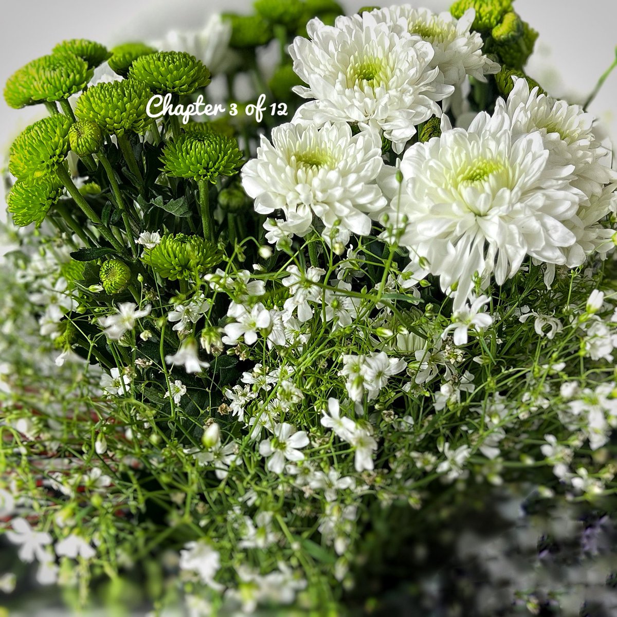 bellarosa000's tweet photo. Hello March !
💚🤍💚🤍💚

 Chapter 3 of 12 
#HeaderUpdate https://t.co/uDuiGfA5WZ