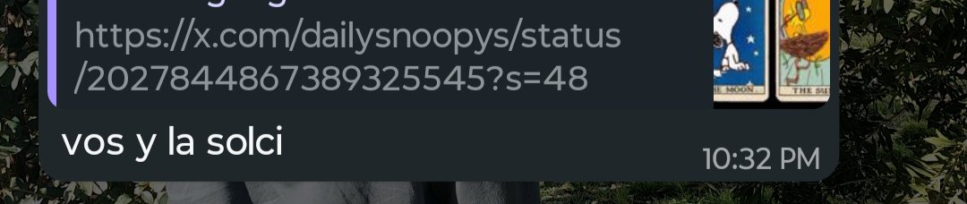 Lupalta🥑 (@lupalacios3_) on Twitter photo 