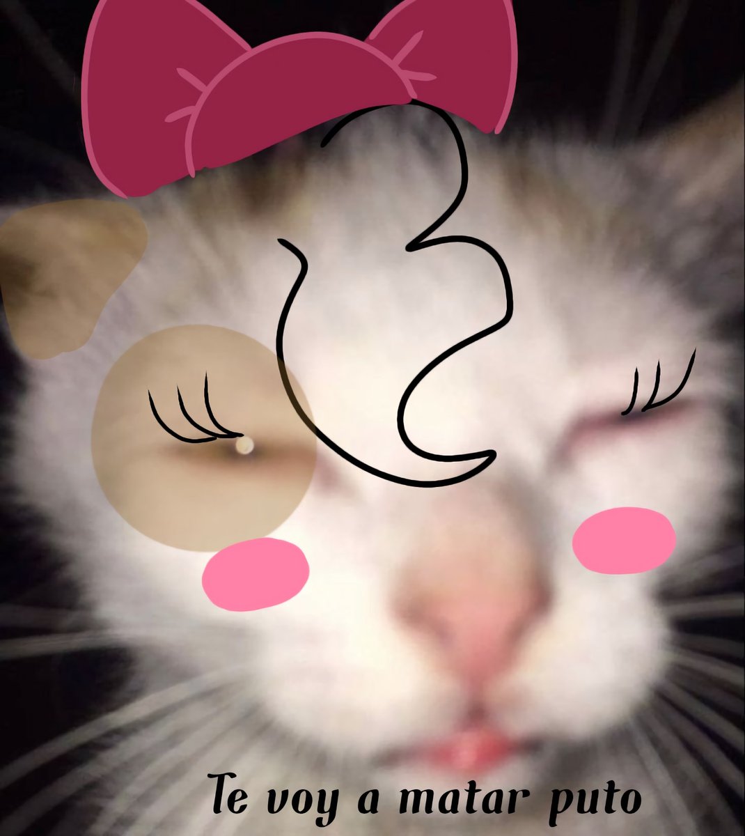 Blassie B. tweet media