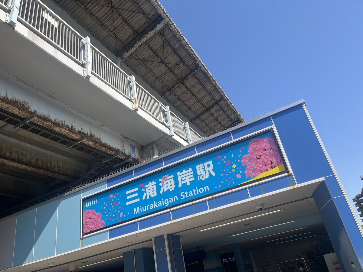 pei_ta_3's tweet photo. 見頃は先週……だったかな💦

#三浦海岸桜まつり #河津桜 https://t.co/o0TEPLhAUu
