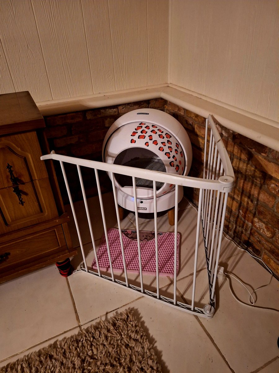 Preventative measures to keep the dog out of the litter box.

No poop in dogs mouth! ✅️👌😄