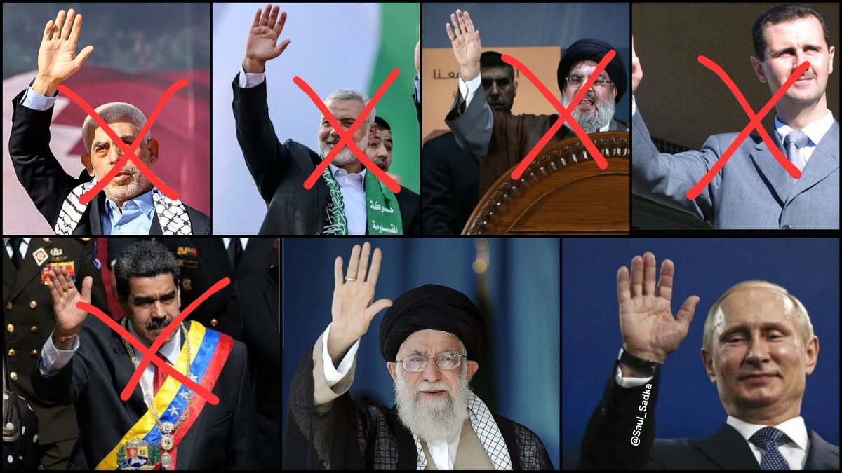 半只猴子（本尊） tweet media