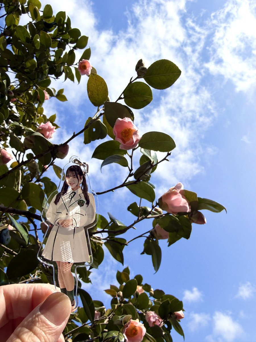 2dtczIY3cFOpZKF's tweet photo. 綺麗な空と大好きな空

#來栖空 ちゃん
#ほくりくアイドル部
#卒業
#生涯來栖空推し
@Sora_39idolbu https://t.co/KnOBuf746g