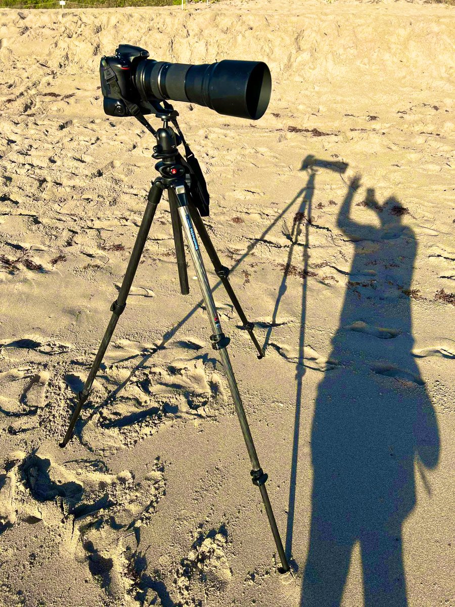 Sports ℙ𝕙𝕠𝕥𝕠𝕘𝕣𝕒𝕡𝕙𝕖𝕣 t.e.b. tweet media