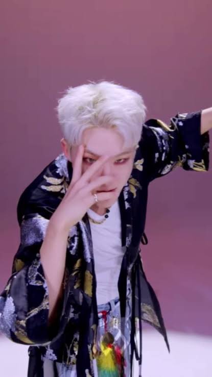 soonyoung vs hoshi