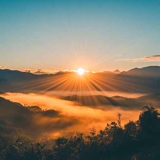 sunny joshi tweet media