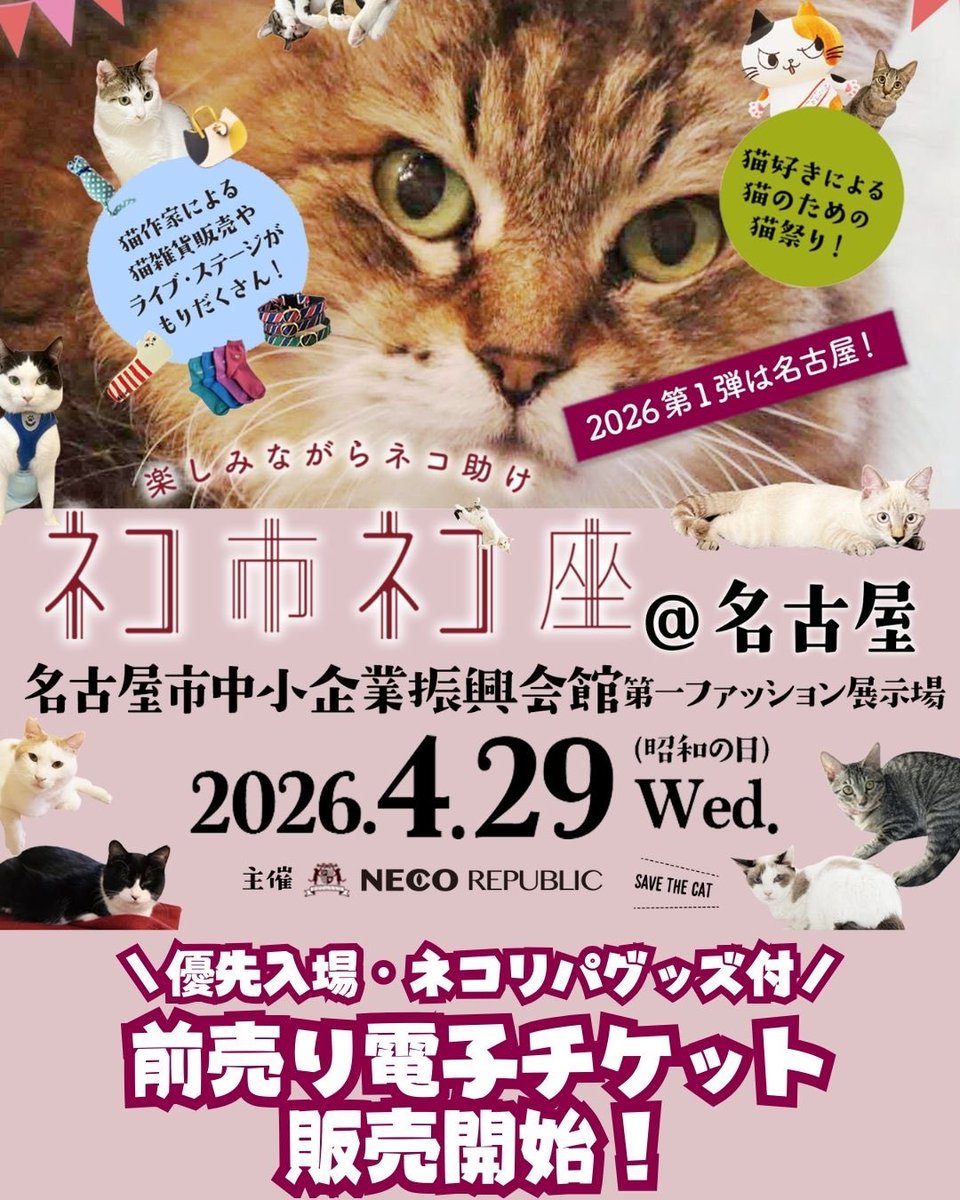 nekoichinekoza1's tweet photo. ╭✨━━━━━╮
#ネコ市ネコ座
前売り電子チケット
販売開始📣🐈🐾
╰━━━━━✨╯
4/29開催❣️ネコ市ネコ座名古屋
断然お得な🉐
前売りチケット販売開始✨

▼チケットはこちら
https://t.co/cbmAyRsOpr https://t.co/DuFQJ9lREt