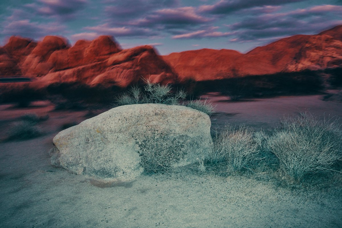 ryan struck tweet media