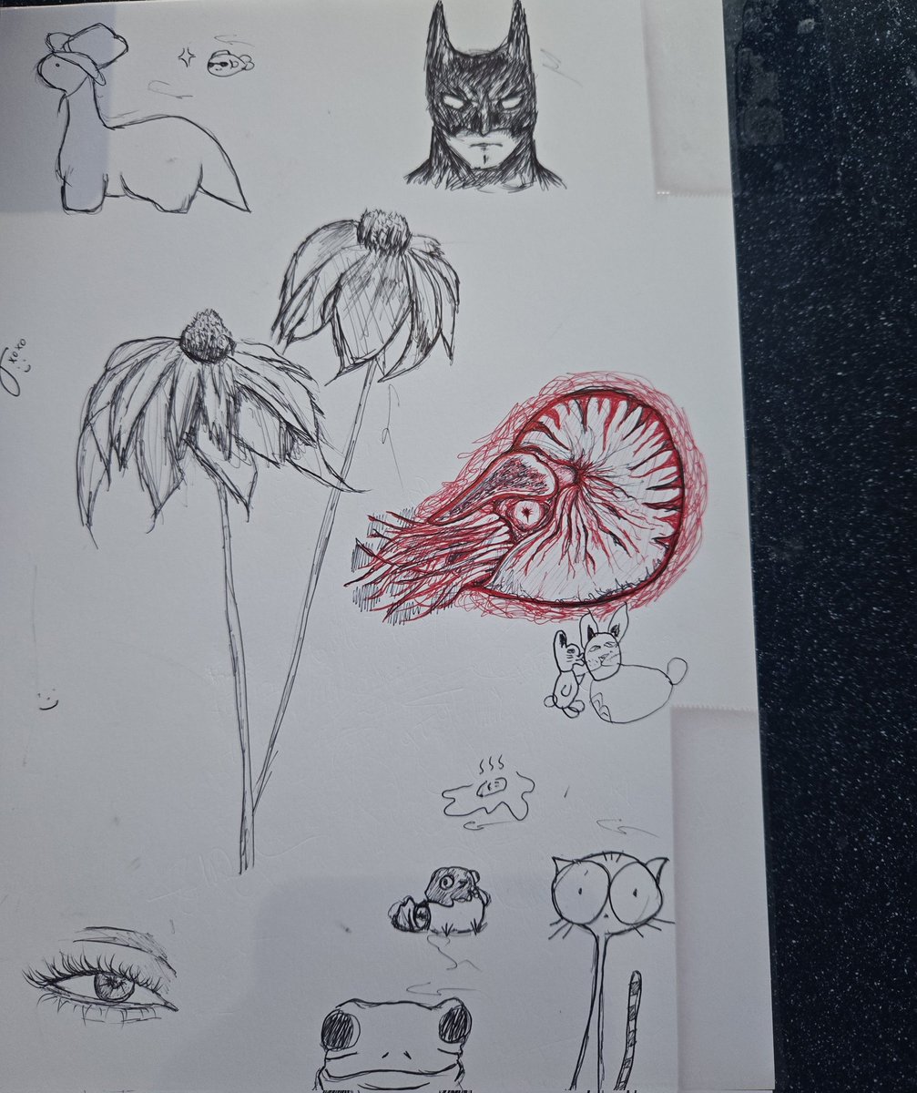 my work doodle nautilus