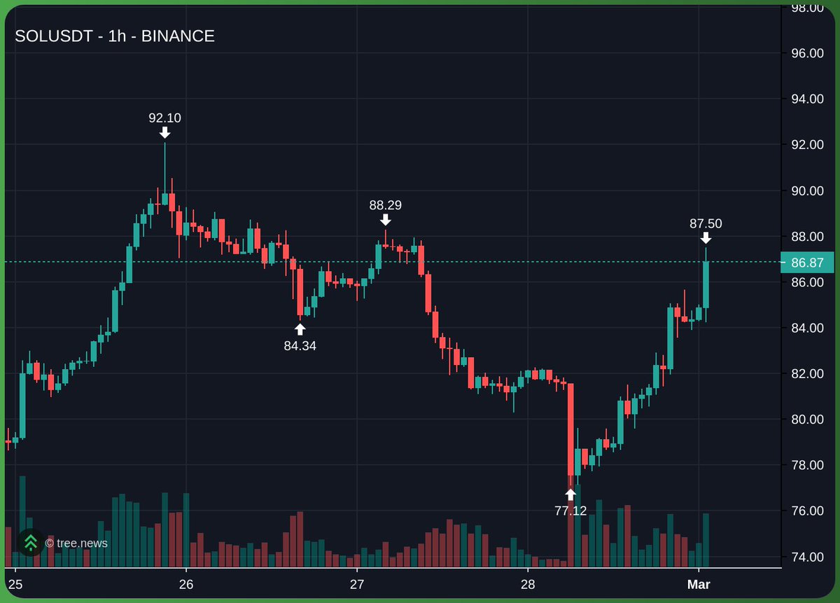 kook 🏝️ tweet media