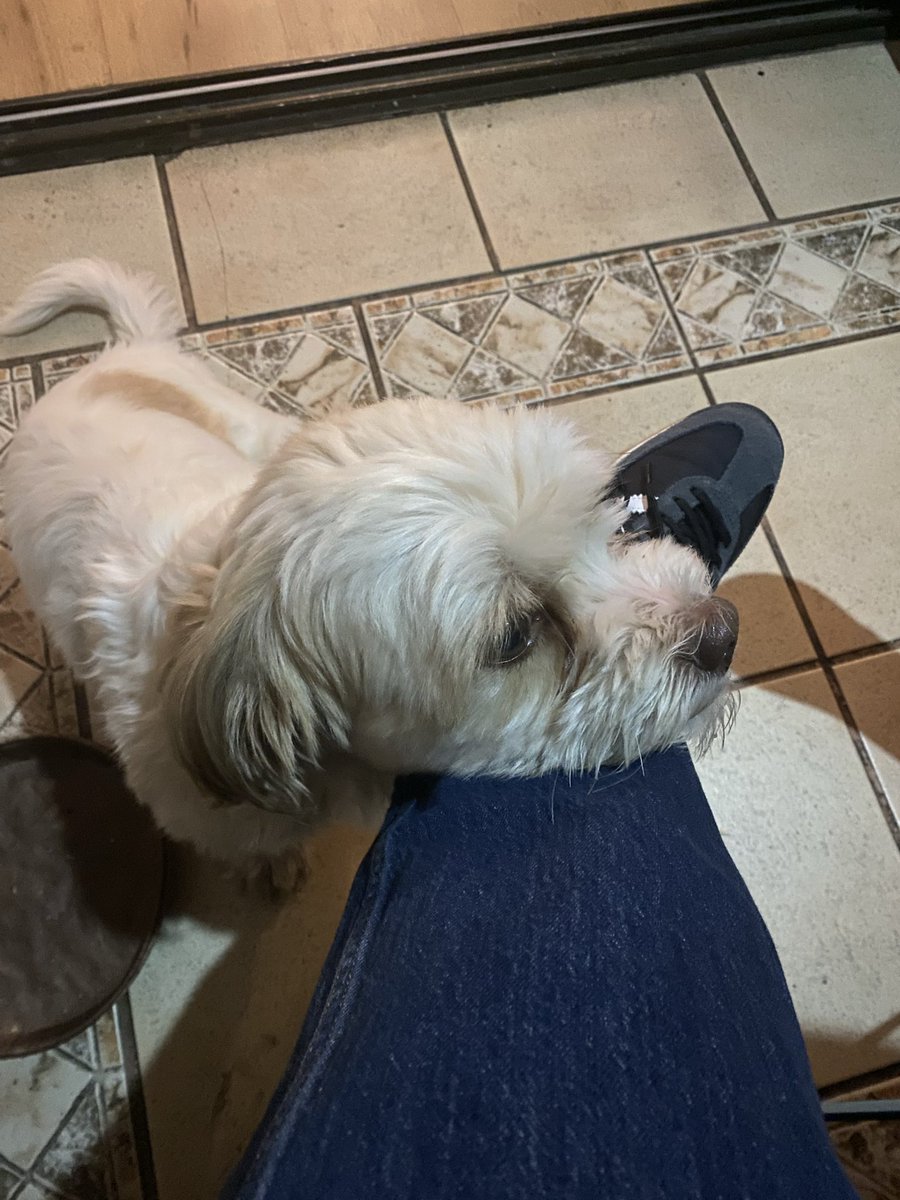 Sábado sin espacio personal 😂