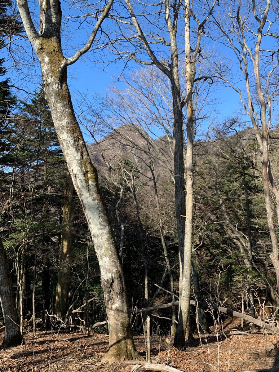 NaturalBalanc11's tweet photo. ヤッホー
一ヶ岳から始まるよ〜 https://t.co/LiGXTs6zNK