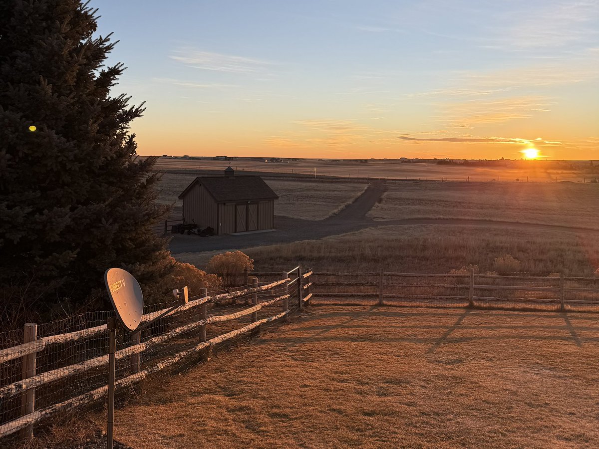 David Pope tweet media