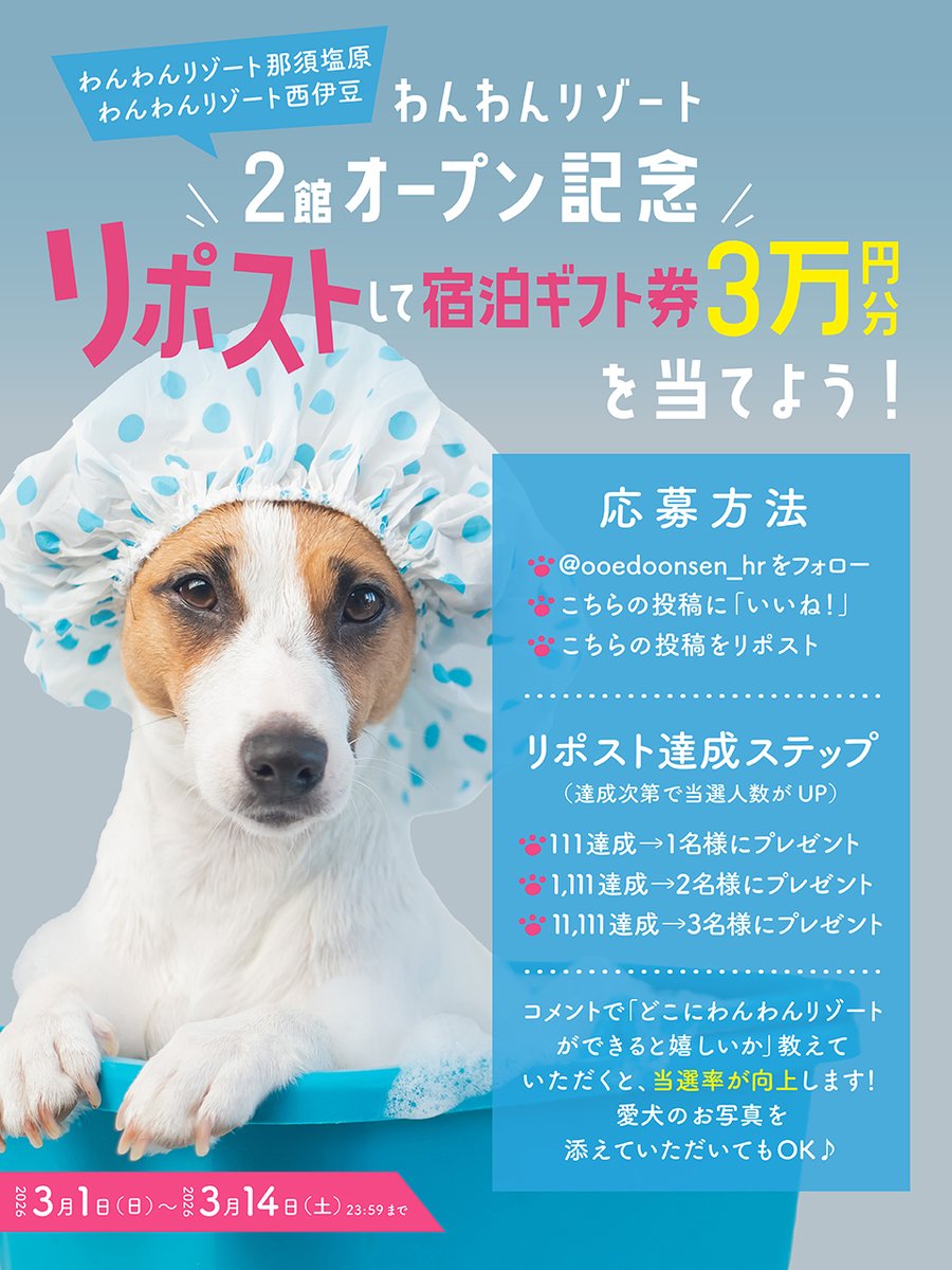 ooedoonsen_hr's tweet photo. ╭━━━━━━━━━━━━━━━━━━━━╮
　#わんわんリゾート2館オープン記念 🐶✨
　いいふろギフト券 3万円分プレゼント🎁
　リポストして当選確率をUP!!🐾🎁
╰━━ｖ━━━━━━━━━━━━━━━━━╯
2026年3月1日にリニューアルオープンしました✨
📍#わんわんリゾート那須塩原 （栃木県）
https://t.co/n7cBAxfMhZ
📍#わんわんリゾート西伊豆 （静岡県）
https://t.co/5cgtCGc5pm
オープンを記念して、プレゼントキャンペーンを実施いたします🐶
リポスト数に応じて、当選人数がUPするチャンス!!🎁
ぜひ、わんちゃんと一緒に温泉旅をお楽しみください🐶♨
--------------------------------------
🎁応募方法
１：@ooedoonsen_hr をフォロー
２：こちらの投稿に「いいね！」
３：こちらの投稿をリポスト
🐾リポスト達成ステップ（達成次第で当選人数がUP）
・リポスト数　 111達成 → 1名様にプレゼント
・リポスト数  1,111達成 → 2名様にプレゼント
・リポスト数11,111達成 → 3名様にプレゼント

▼「いいふろギフト券3万円分」が1名様から最大3名様に当たるチャンス🎁
💡コメントで『どこにわんわんリゾートができると嬉しいか』を教えていただくと、当選確率がUP🐶
愛犬のお写真を添えていただいてもOKですよ📷♪

みなさまのご応募をお待ちしております！✨
--------------------------------------
⚠ 注意事項
■プレゼント応募条件について
・各ステージ達成後に抽選を行います。
・応募方法の3つができない場合は対象外となります
・当選のご連絡からお知らせする期日までにご連絡がない場合は、当選権利の無効・取消となることがあります。
・同一人物の複数当選が判明した場合、1アカウントのみの当選といたします。
・18歳以上の日本国内在住の方に限らせていただきます。

■プレゼントについて
・入湯税は別途ご精算となります。
・いいふろギフト券には有効期限がございます。ご注意ください。
・公式HPから、お客様自身でご予約ください。
・ギフト券は釣り銭のお渡し、現金とのお引替え、お払戻しはいたしませんのでご了承ください。
・ギフト券のご提示はチェックイン・ご精算の際にお願いいたします。

■その他
・当選DMのなりすましには十分にご注意ください。
・本キャンペーンは各SNSの主催するプロモーションではありません。
・本キャンペーンに関するお問い合わせは受け付けておりません。
・本キャンペーンは予告なく終了する場合がございます。予めご了承ください。
--------------------------------------

#わんわんリゾート #大江戸温泉物語 #わんちゃんと旅行 #わんちゃんとお出かけ #TAOYA #温泉旅行 #温泉 #国内旅行 #旅行 #バイキング #プレゼント #懸賞