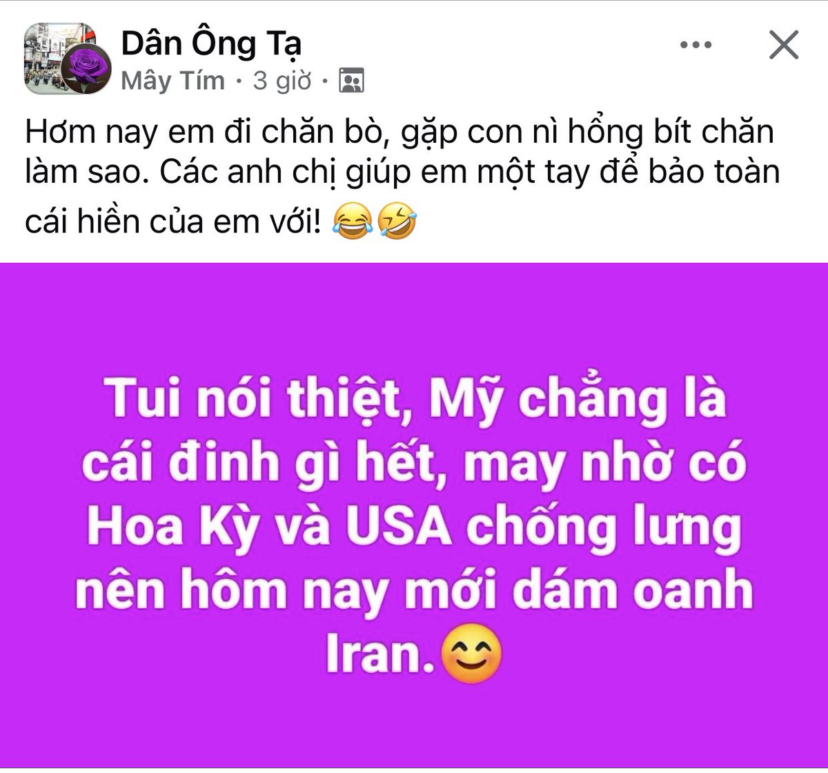 Việt Phi Trung tweet media