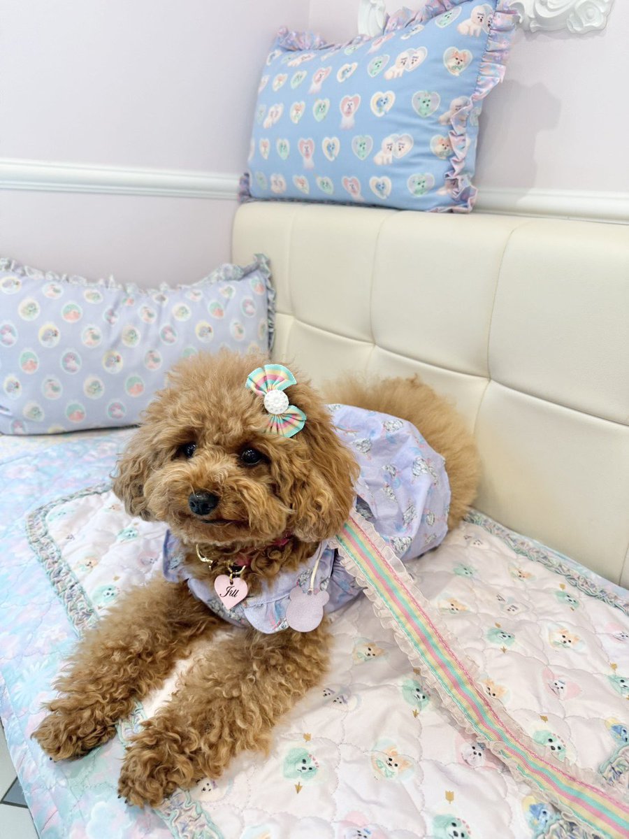 fafa Online Shop (@fafaOnlineShop) / Posts / X