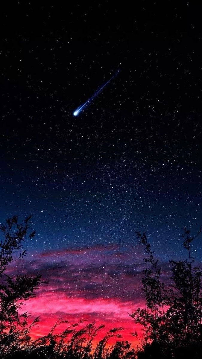 aestheticspost_ tweet picture