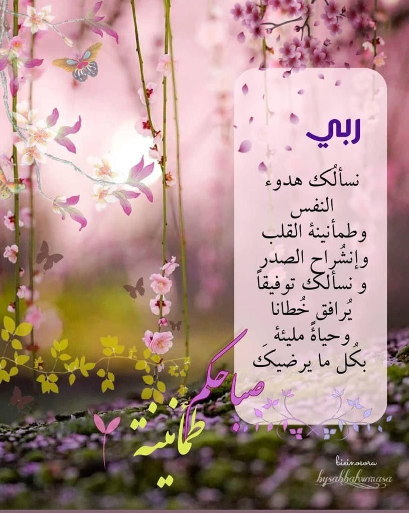 علي بن مسعود المعشني tweet media