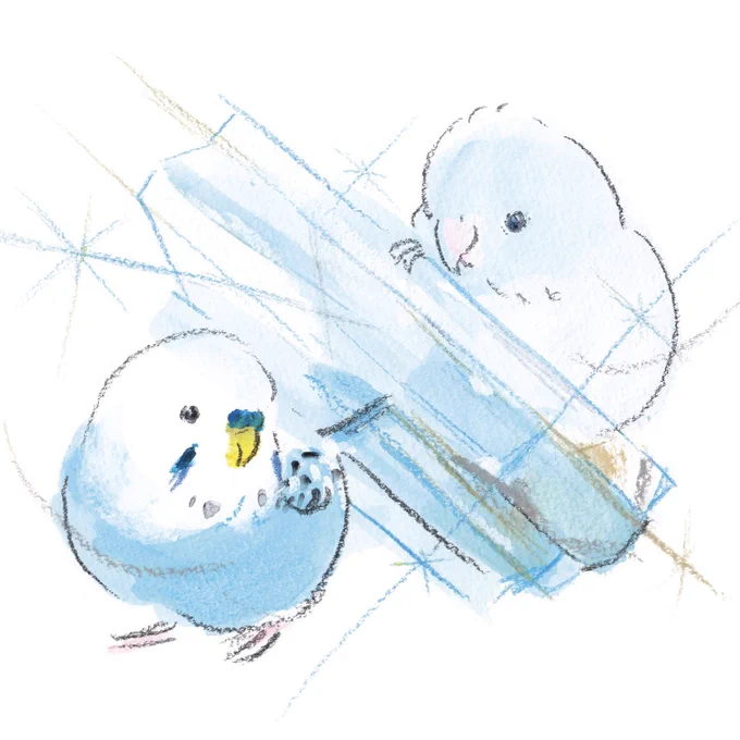 3月になりましたね今年の"宝石と鳥"カレンダーイラストは、誕生石のアクアマリンとセキセイインコさんとマメルリハさんです