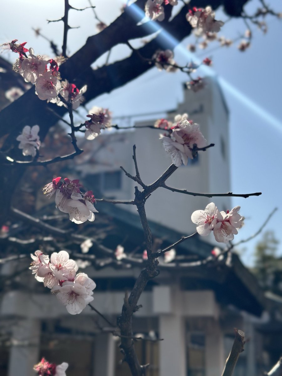 桜咲く🌸
キラキラしていて綺麗だった。