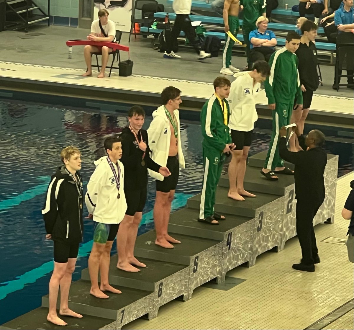 Buffalo Bison tweet media