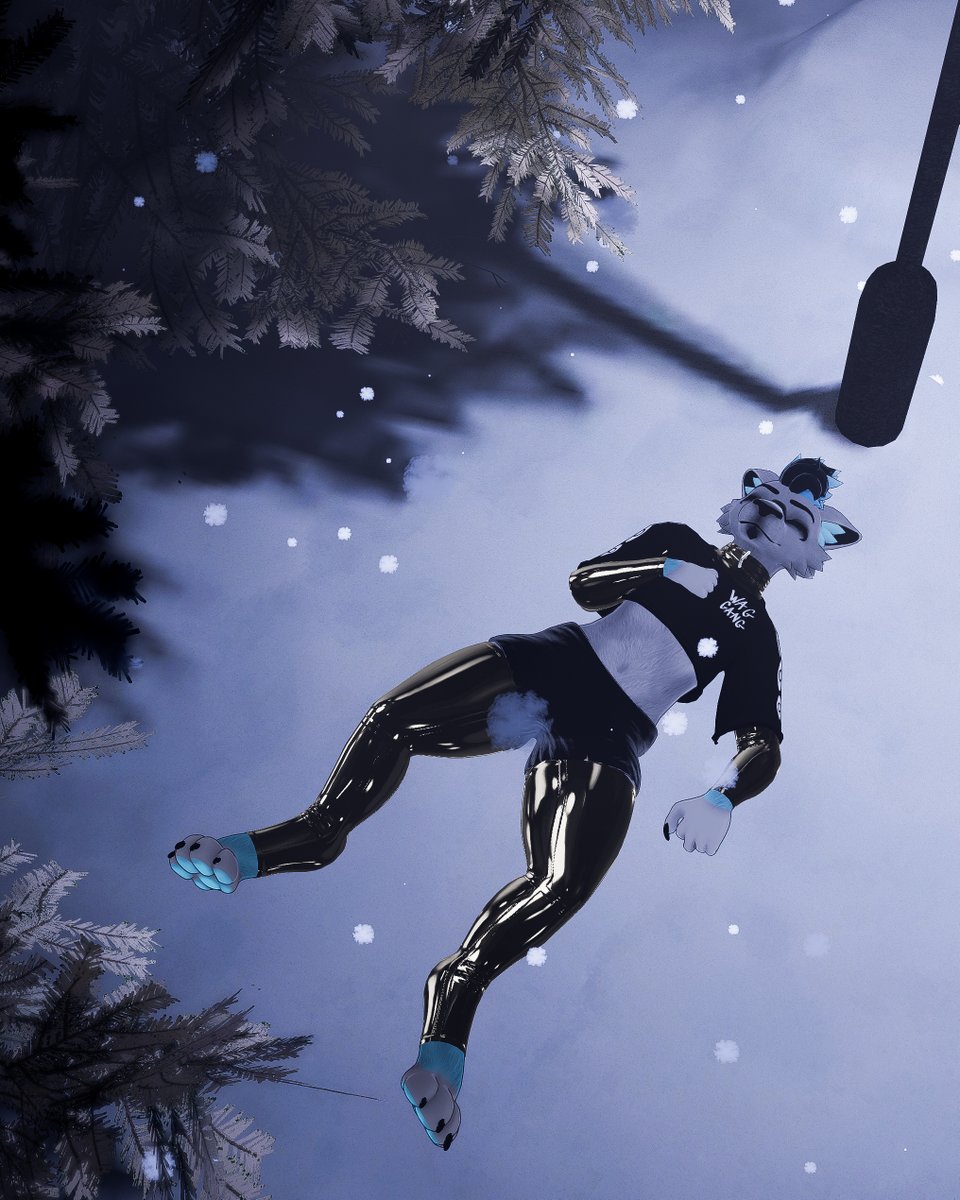 Flow the Wolf - F2 tweet media