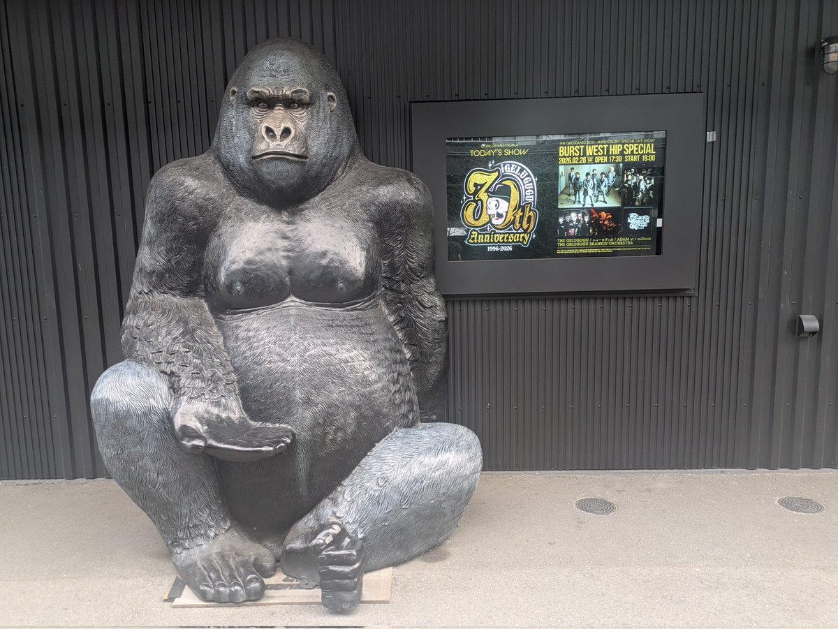 うりちゃん tweet media