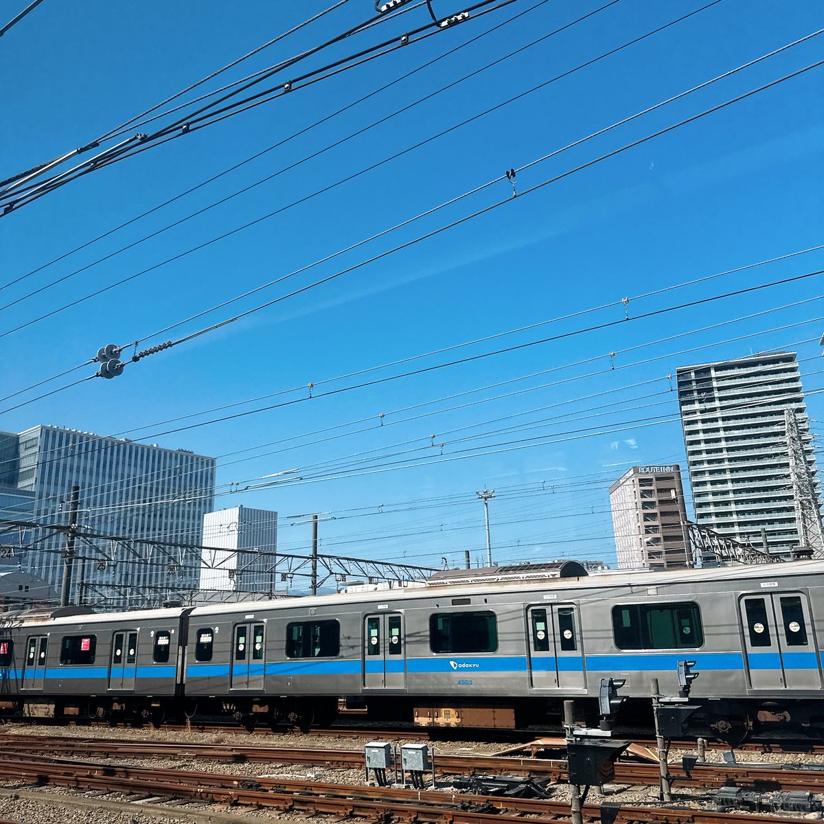 ロマンスカーで渋沢の方へ向かってます🚃✨
朝から食べ過ぎたかも………w