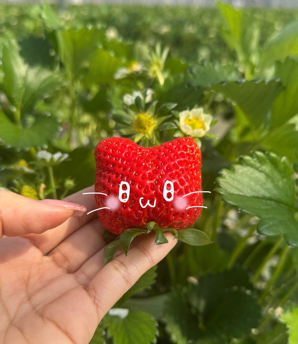 美雨🦷 tweet media