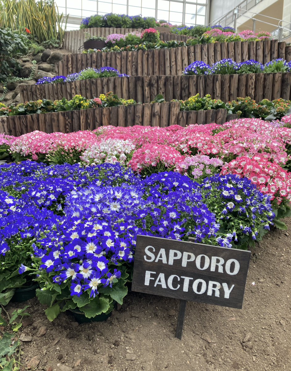 サッポロファクトリー tweet media