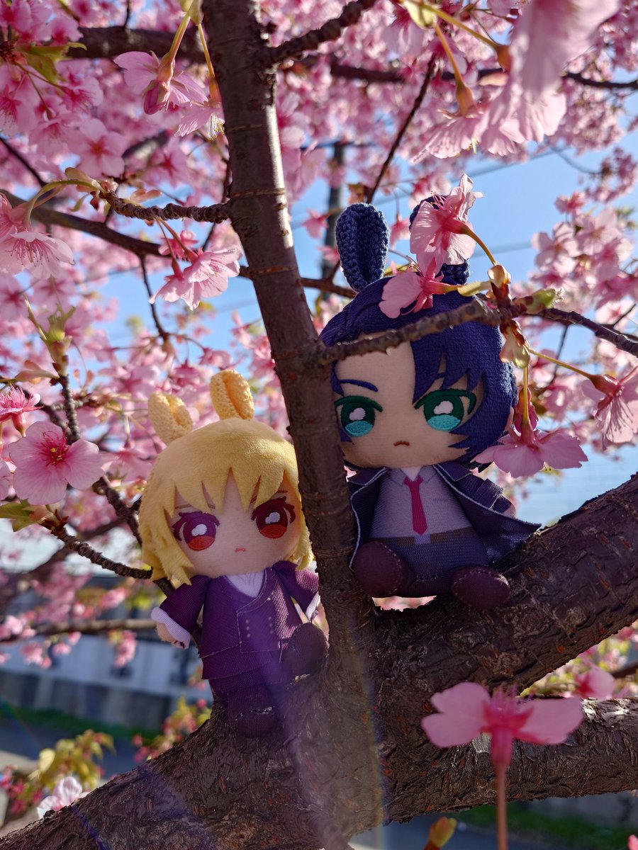 3月はじめとアスカガぬい