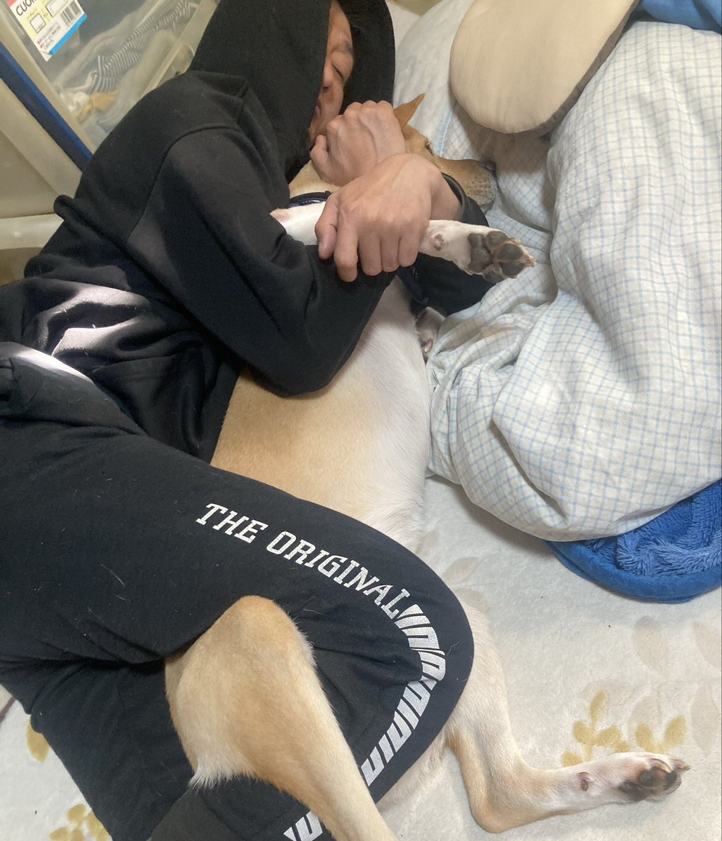 動物虐待ではないです。MMAです。
完全にロックしました。
散歩前のウォーミングアップです。🐕🚶
