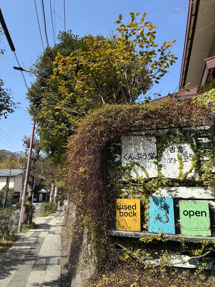 古書くんぷう堂 tweet media