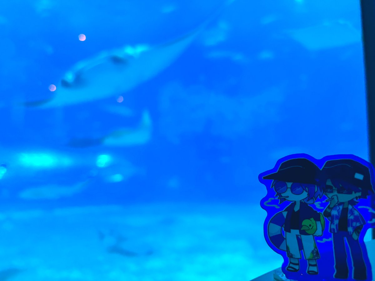 ffffoo's tweet photo. 番外戦💥セブピスの祭もしまくって最高だったぜ https://t.co/2OKdLKlEWP