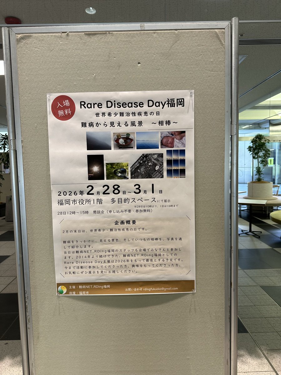 らくだ tweet media