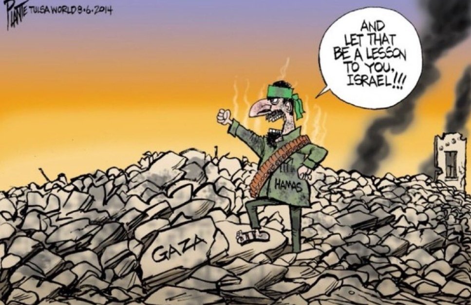 Robityson tweet media